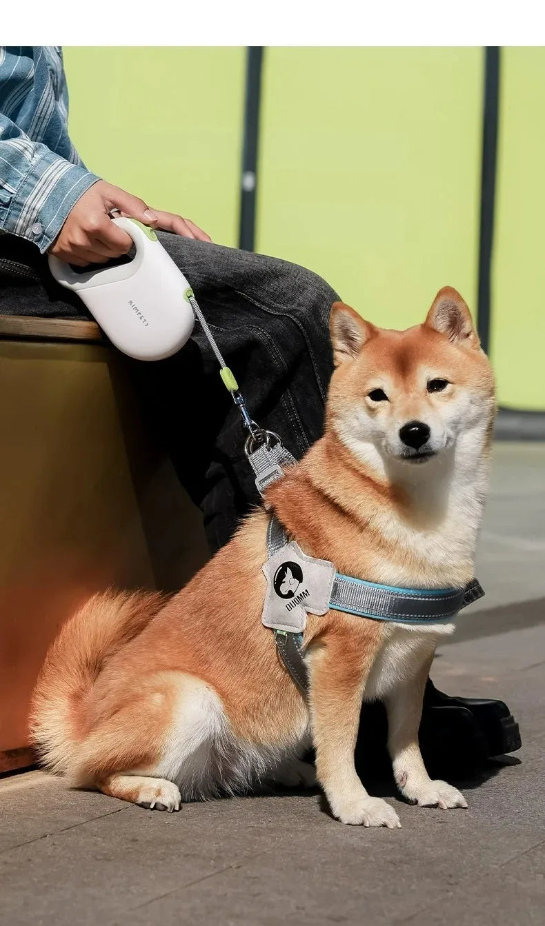 Collars, Leashes & Harnesses