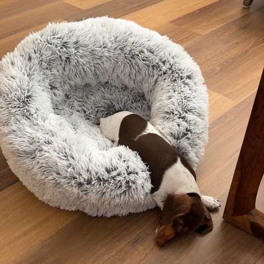 Calm Donut Bed | Calming Sleep Bed Suitable For Winter