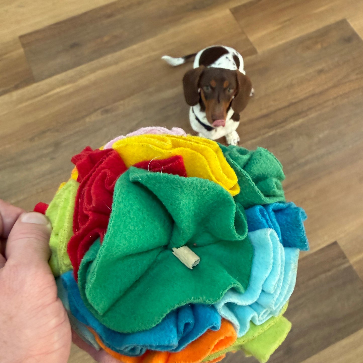 Interactive Dog Snuffle Ball | Encourage Natural Foraging Skills, Puzzle Treat Ball