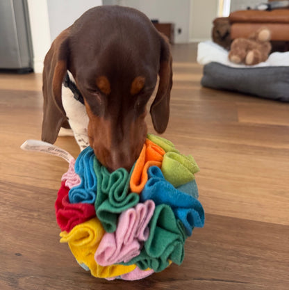 Dog interacting with a colorful fabric toy on a wooden floor.