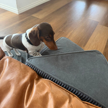 Spiral Faux Leather Pet Stairs | 2/3/4 Step Non-Slip Removable Spiral Small Dog Steps