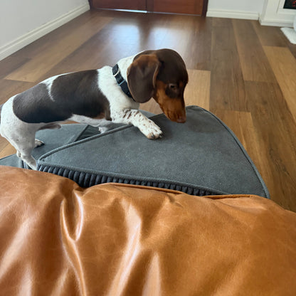 Spiral Faux Leather Pet Stairs | 2/3/4 Step Non-Slip Removable Spiral Small Dog Steps