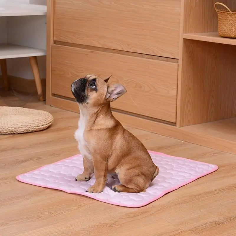 Dog Cooling Summer Pad | Breathable, Washable Mat - Small to Large Dogs