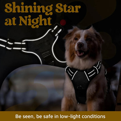 Front Clip Dog Harness | Adjustable No Pull Pet Harness with Soft Padded Handle