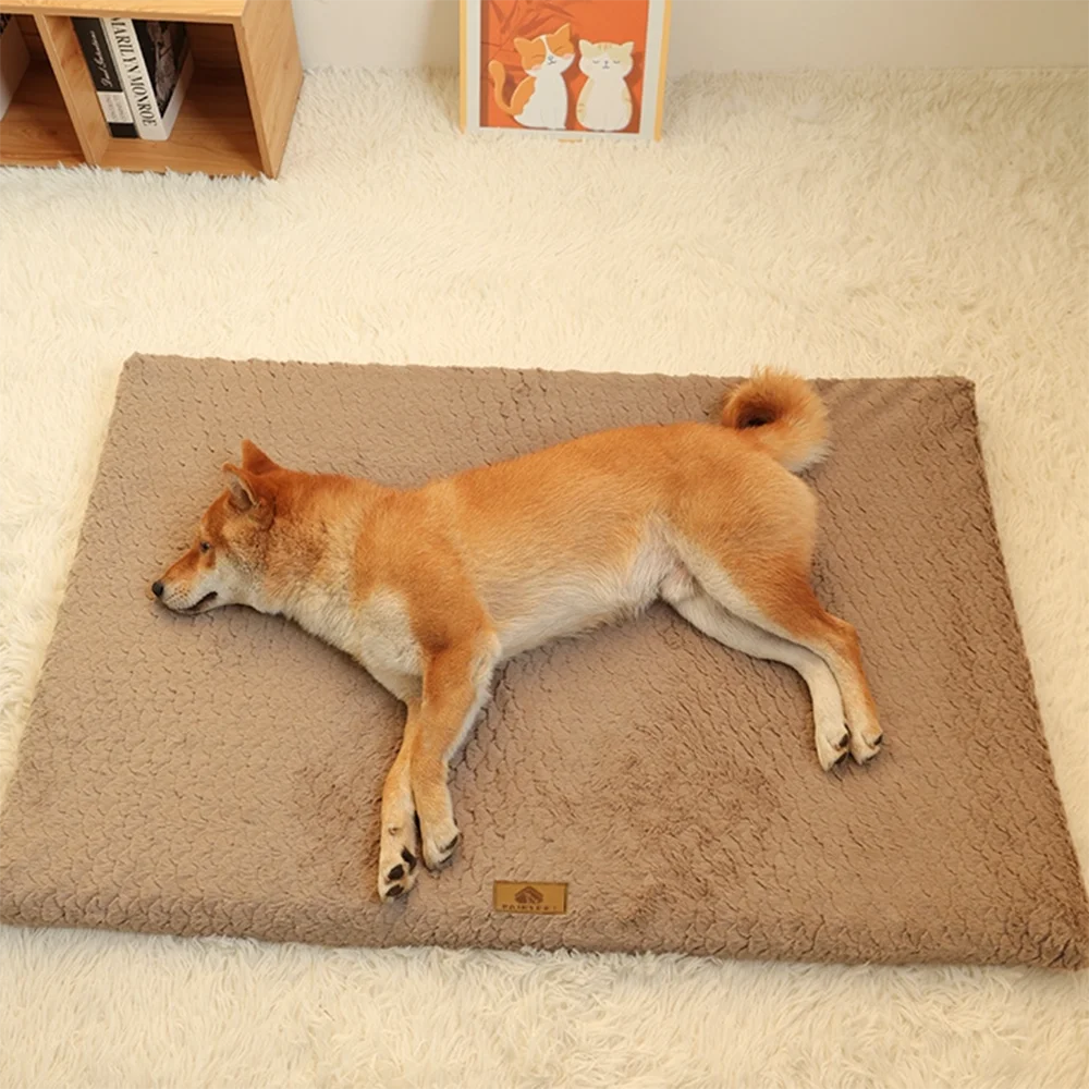 3D Foam Pet Bed | Orthopaedic Dog Bed