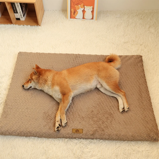 3D Foam Pet Bed | Orthopaedic Dog Bed