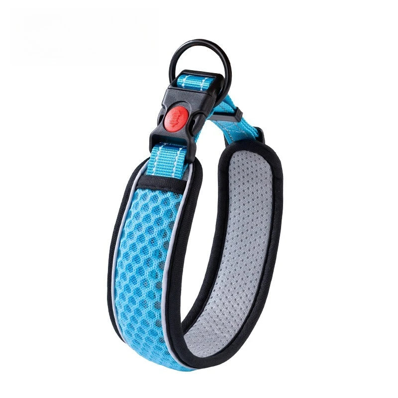 Padded Dog Collar