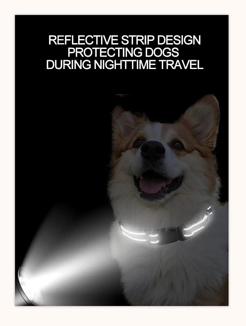 Reflective Dog Collar