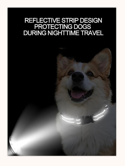 Reflective Dog Collar