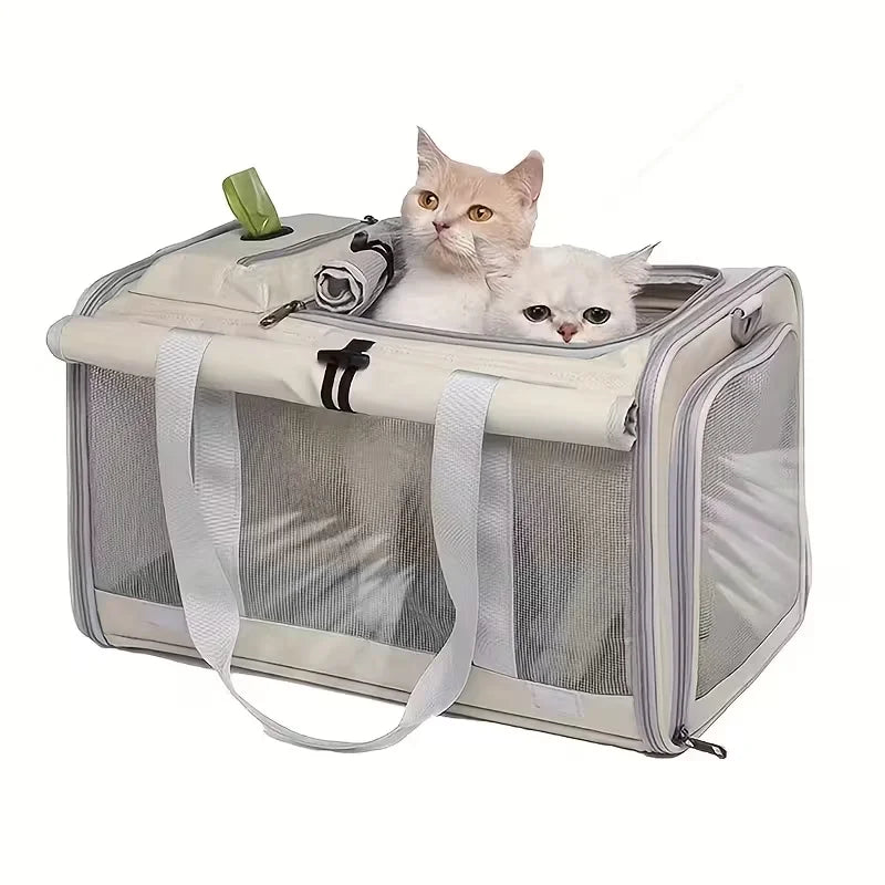 Transport Pet Carrier | Durable, Breathable Medium Cat And Small Dog Carrier
