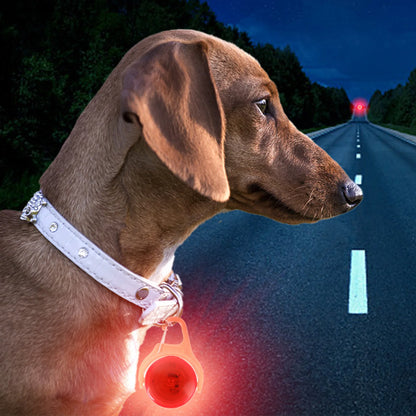 Dog Collar Night Light | LED Collar Clip on Glowing Safety Light for Dogs
