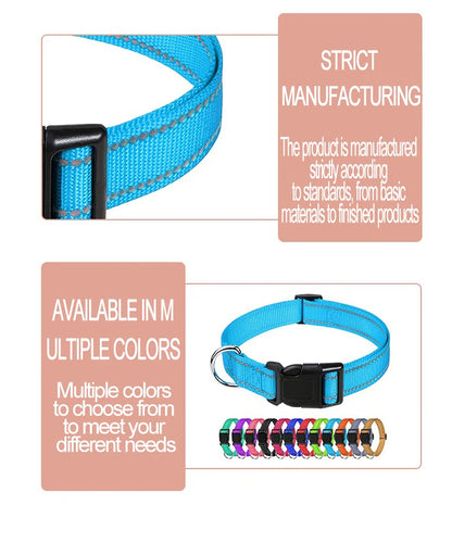 Reflective Dog Collar