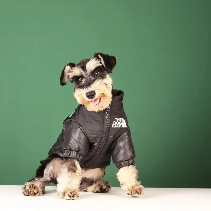 The Dog Face Winter Dog Jacket | Clothes for Small - Medium Dogs