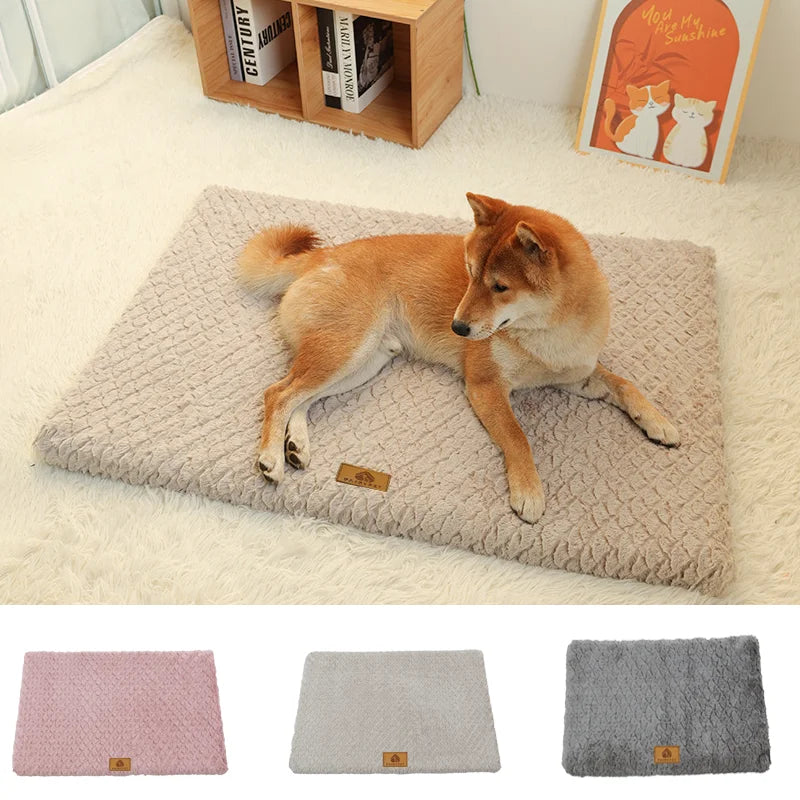 3D Foam Pet Bed | Orthopaedic Dog Bed