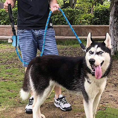 Portable Pet Waste Bag Holder | Durable Polyester Organiser For Convenient Outdoor Walks