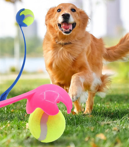 Pet Tennis Ball Launcher Set | Outdoor Dog Training Fetch Toy -  Ergonomic Handle