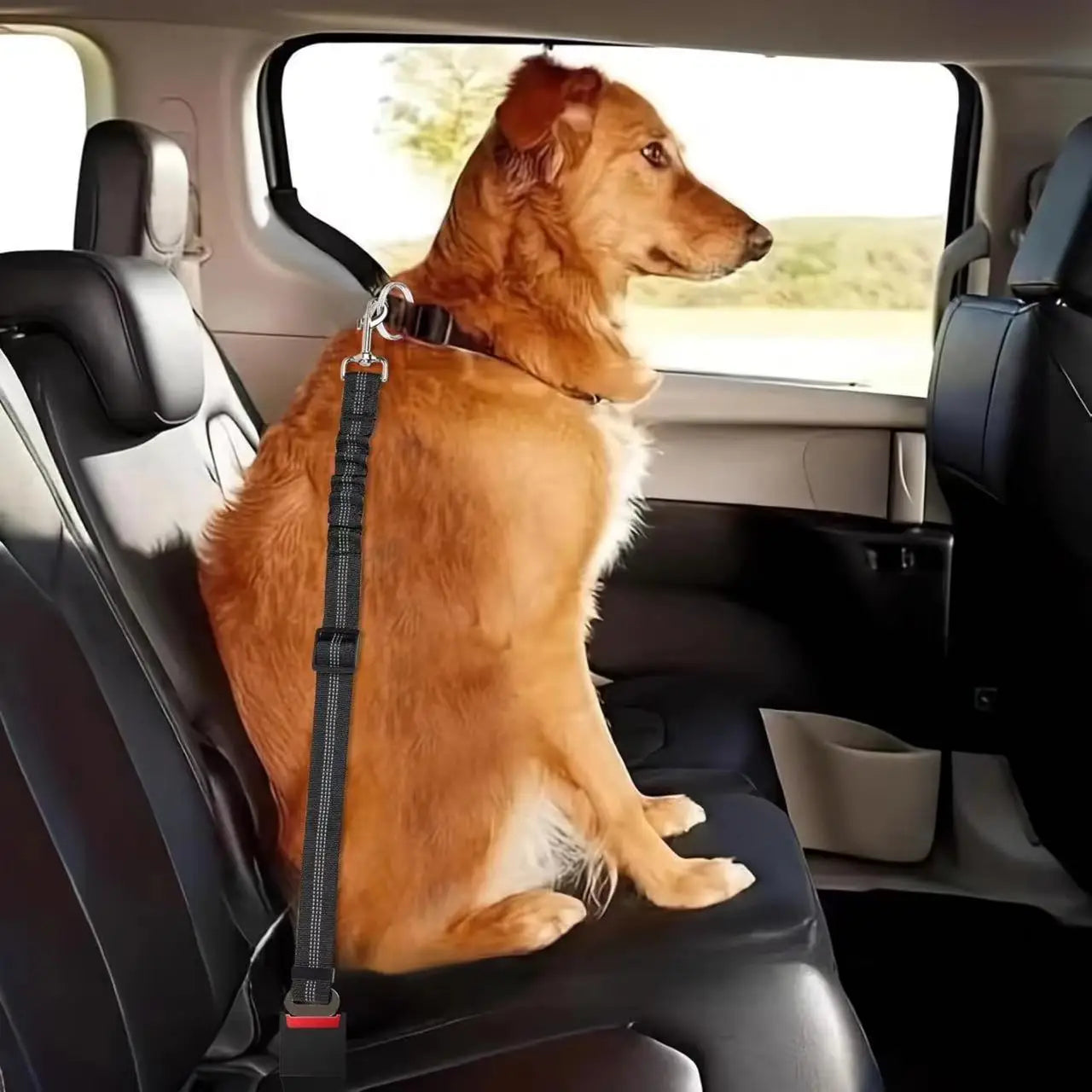 Adjustable Dog Car Seatbelt | Nylon Pet Safety Seat Belt with Elastic Bungee Buffer