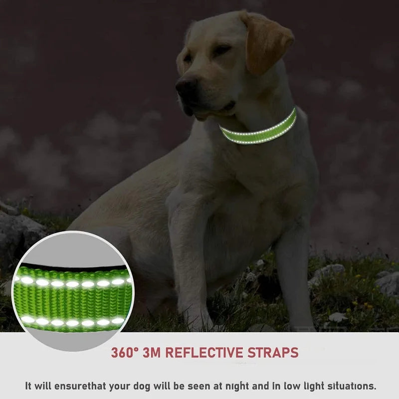 Reflective Dog Collar