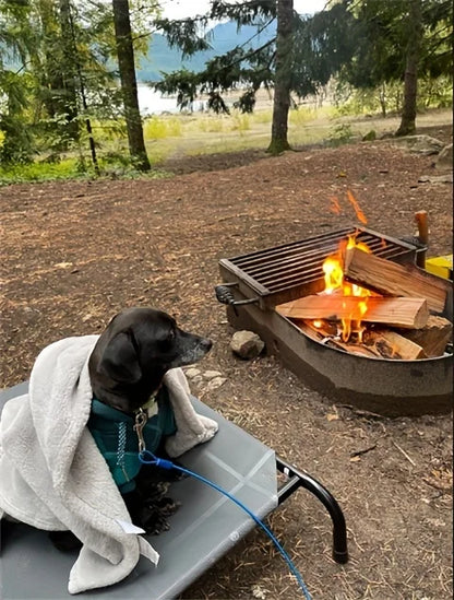 Outdoor Elevated Mesh Dog Bed | for Small - Large Pets, Suitable for Camping