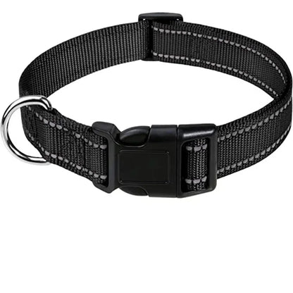 Reflective Dog Collar