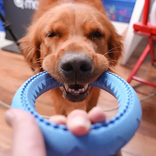 Durable Chewing Ring Toy | Flying Fetch Ring Toy For Small, Medium, and Large Dogs
