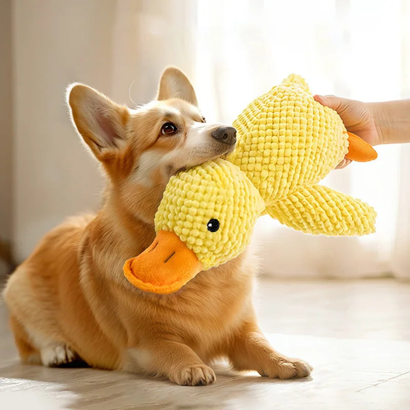 Squeaky Duck Toy | Durable, Interactive Plush Chew Doll for Pets