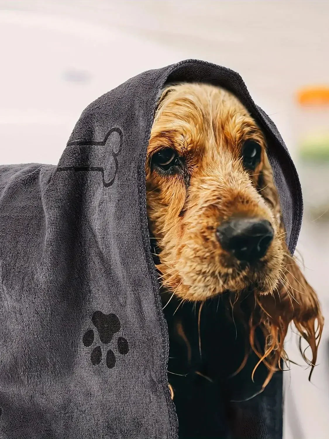 Microfibre Quick-drying Pet Towel | 60x100cm