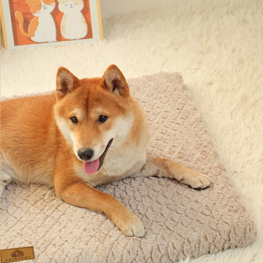 3D Foam Pet Bed | Orthopaedic Dog Bed