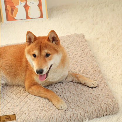 3D Foam Pet Bed | Orthopaedic Dog Bed