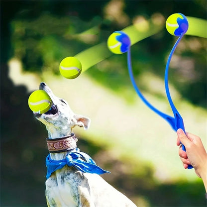 Pet Tennis Ball Launcher Set | Outdoor Dog Training Fetch Toy -  Ergonomic Handle