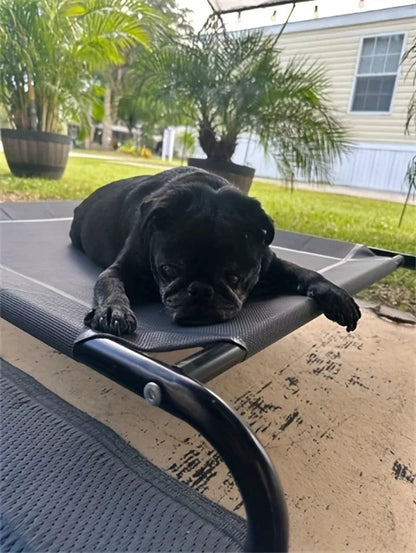 Outdoor Elevated Mesh Dog Bed | for Small - Large Pets, Suitable for Camping