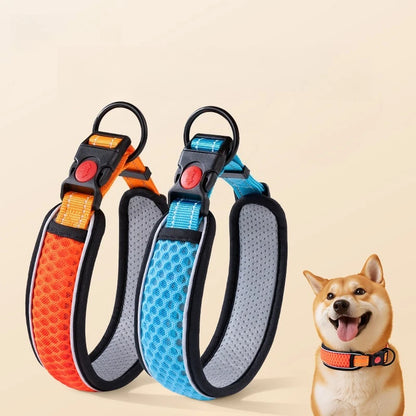 Padded Dog Collar