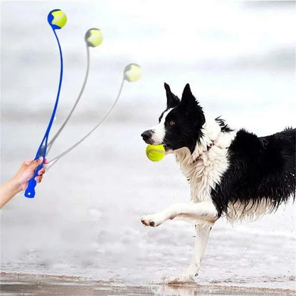 Pet Tennis Ball Launcher Set | Outdoor Dog Training Fetch Toy -  Ergonomic Handle