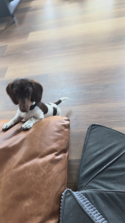 Spiral Faux Leather Pet Stairs | 2/3/4 Step Non-Slip Removable Spiral Small Dog Steps