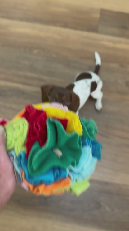 Interactive Dog Snuffle Ball | Encourage Natural Foraging Skills, Puzzle Treat Ball