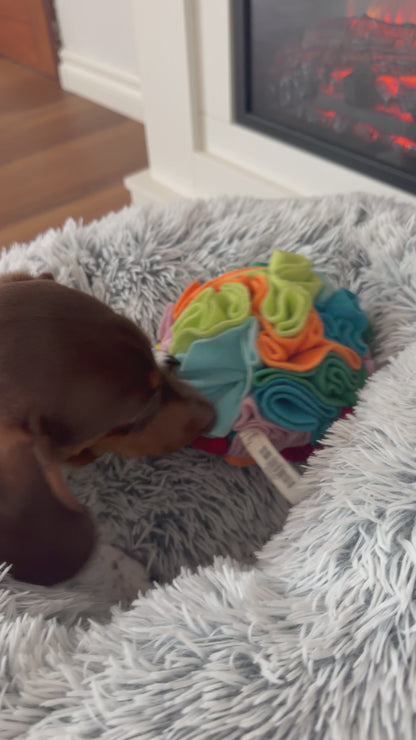 Interactive Dog Snuffle Ball | Encourage Natural Foraging Skills, Puzzle Treat Ball